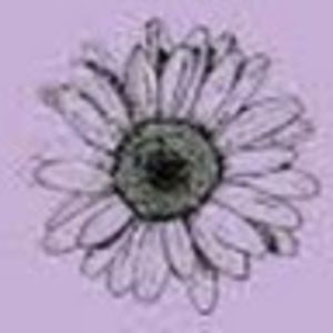 Meet your Posher, Abigail